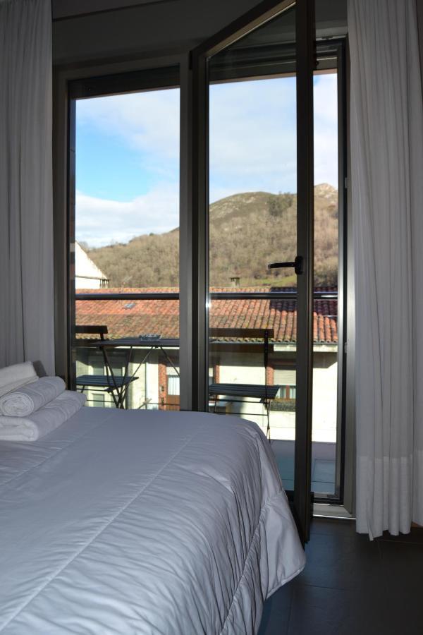 Apartamentos Spa Cueto Cangas de Onís Exterior photo